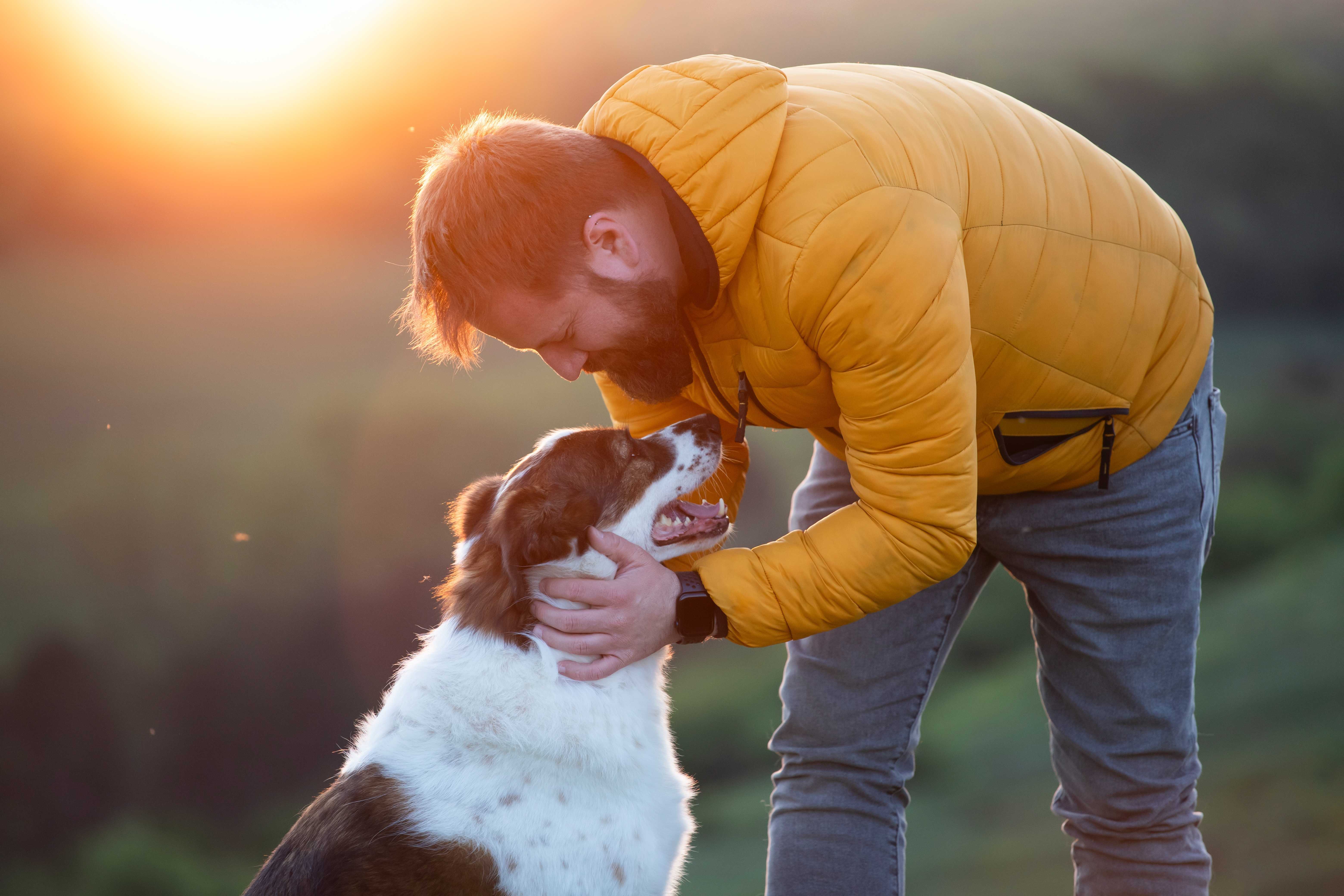 Chien heureux